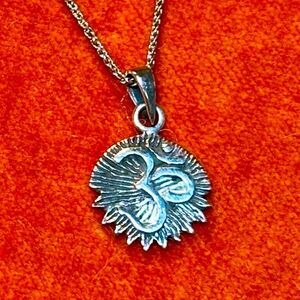 Om Charm Sterling Silver Necklace with Burst Background